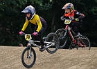 921H7213 bmx-tc-11-9-21